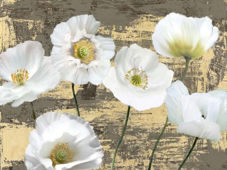 Washed Poppies (Ash &amp; Gold) by Leonardo Sanna art print