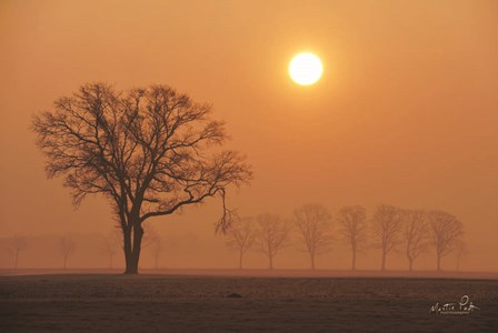 Broken by Martin Podt art print