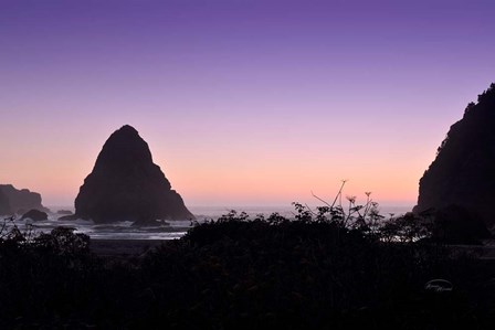 Whaleshead Beach by Ramona Murdock art print