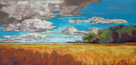 Late Summer Clouds by Jennifer Gardner art print