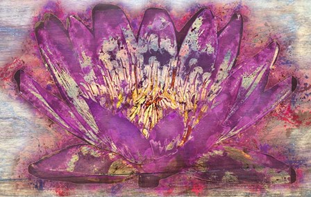 Lotus 2 by Surma &amp; Guillen art print