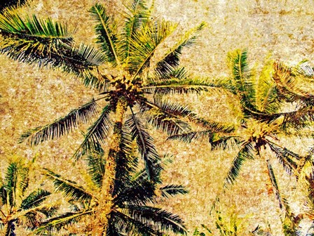 Palms 1 by Skip Nall art print