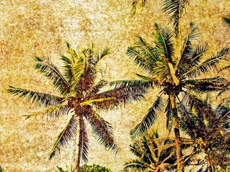 Palms 2 by Skip Nall art print