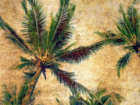 Palms 3 by Skip Nall art print