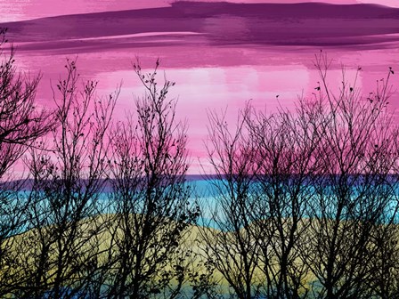 Tree Sunset 2 by Skip Nall art print