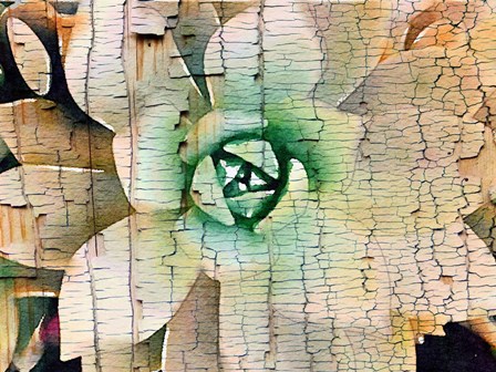 Succulent on Wood by Irena Orlov art print