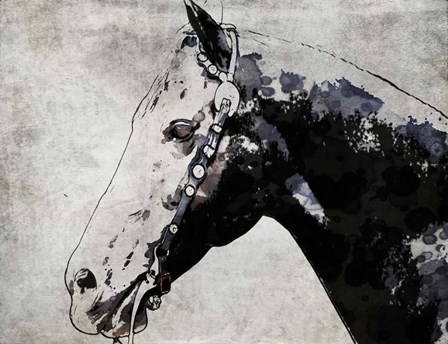 Black Ghost Horse by Irena Orlov art print