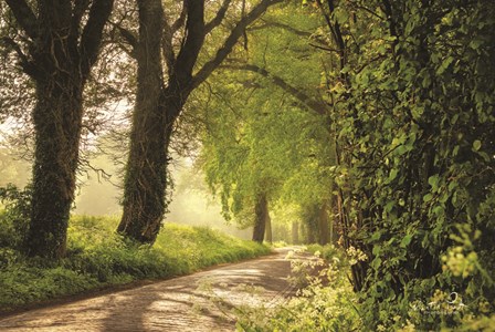 Lente in Twente by Martin Podt art print