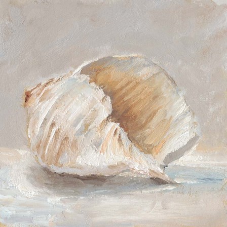 Impressionist Shell Study IV by Ethan Harper art print