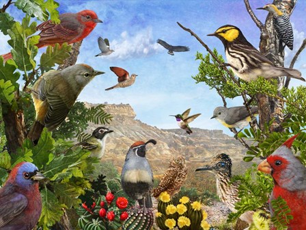 Texas Birds by Chris Vest art print