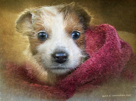 Puppies First Bath by Chris Vest art print