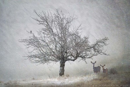 Lone Tree Deer Kestral by Chris Vest art print