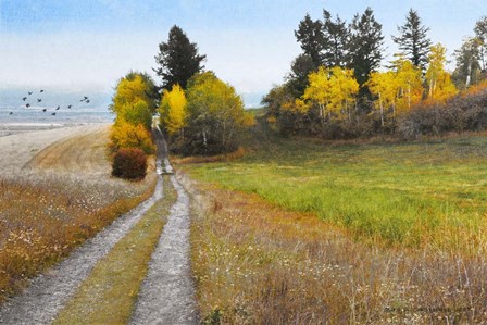 Road To Cynthia&#39;s House by Chris Vest art print