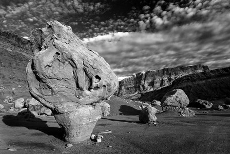 Vermillion Cliffs National Monument Arizona by Tom Brossart art print