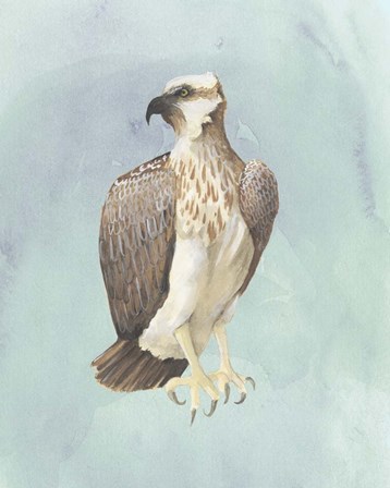 Watercolor Beach Bird IV by Grace Popp art print