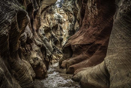 Slot Canyon Utah 4 by Duncan art print