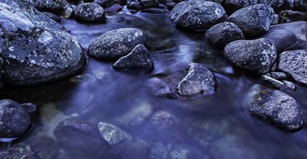 River Rocks 2 by Duncan art print