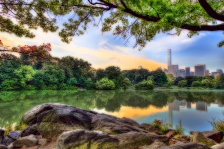 Central Park 1 by Franklin Kearney art print